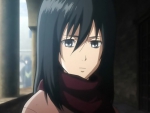 Mikasa Ackerman - Attack on Titan