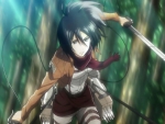 Mikasa Ackerman - Attack on Titan