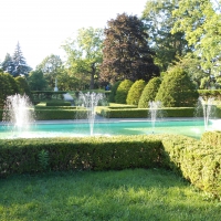 Hedge Grove at High Park