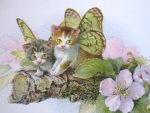 Butterfly Kitties