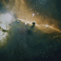 Horse head Nebula