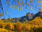 Autumn mountain