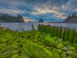 moss covered rocks and pillars on a bay shore