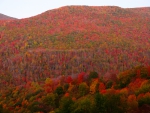 autumn mountain