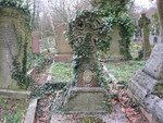 Overgrown grave
