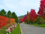 Okanagan Fall