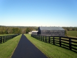 Kentucky Horse Farm