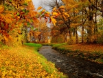 Autumn creek
