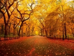 New York autumn
