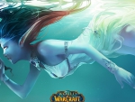 World of Warcraft