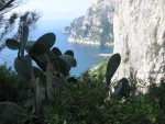 Capri Island
