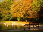 Autumn Park!