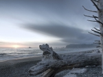 magnificent rialto beach in olympic np washington