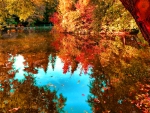 Reflections in autumn pond