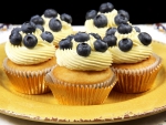 Blueberry cupcakes