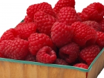 Raspberry