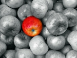 The Red Apple!