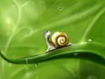 Snail!