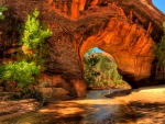 Coyote gulch