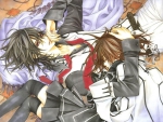 vampire knight