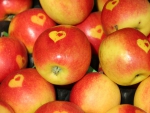 Love Apples For VC!