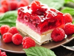 Raspberry Cake