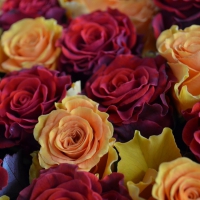 â™¥Beautiful bunch of rosesâ™¥