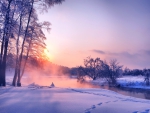 Beautiful Winter