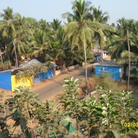 Calangute Beach Forest Road in India