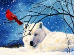 White Wolf Red Bird