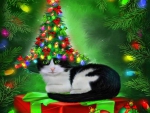 â˜…Cat in Xmas Tree Hatâ˜…
