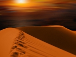 Sunset on the Dunes