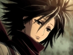 Mikasa Ackerman - Attack on Titan