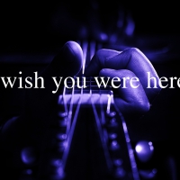 Wish You Were Here