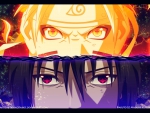 Naruto & Sasuke