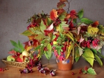 Autumn  still life