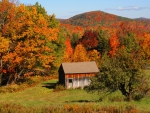 Fall in Vermont