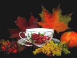 Autumn teatime