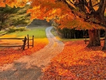 Autumn countryside road