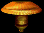 Mushroom Lamp