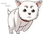 Gintama - Sadaharu 