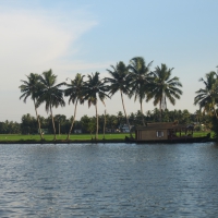 From GOD'S OWN COUNTRY,KERALA