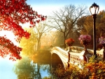 Autumn bridge