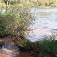 Paseo on 29.October 2013 (11)