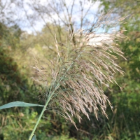 Paseo on 29.October 2013 (12)