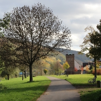 Paseo on 29.October 2013 (13)