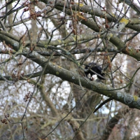 Paseo on 29.October 2013 (14)