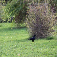 Paseo on 29.October 2013 (15)