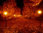 pretty autumn night
