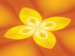 flower _fractal